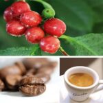 Gimoka Organic Beans Coffee 1kg (2)
