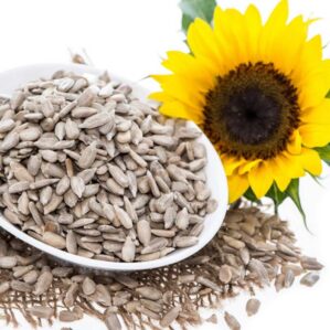 Organic Sunflower Seeds price in bangladesh