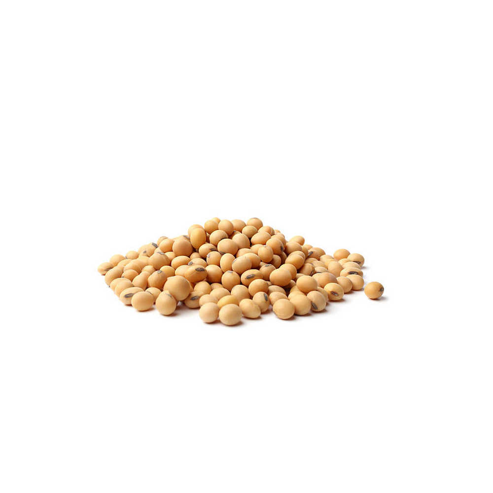 Soya Bean Seeds 1kg | Sinin