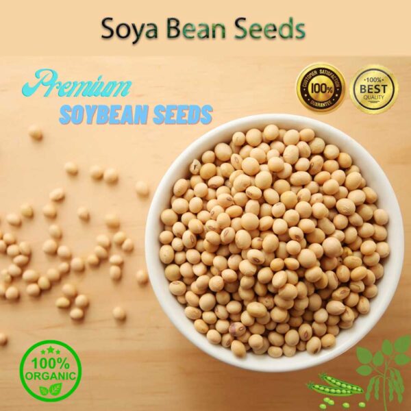 Soya Bean Seeds Bangladesh