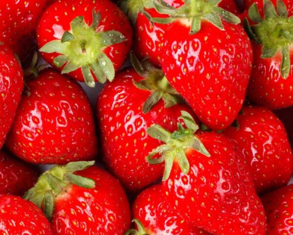 Strawberry Fruit bd