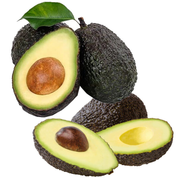 Avocado Bangladesh