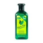 XHC Green Tea Shampoo