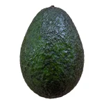 Avocado Fresh Fruit