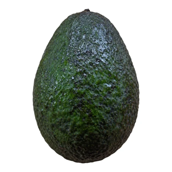 Avocado Fresh Fruit