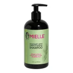 Mielle Shampoo